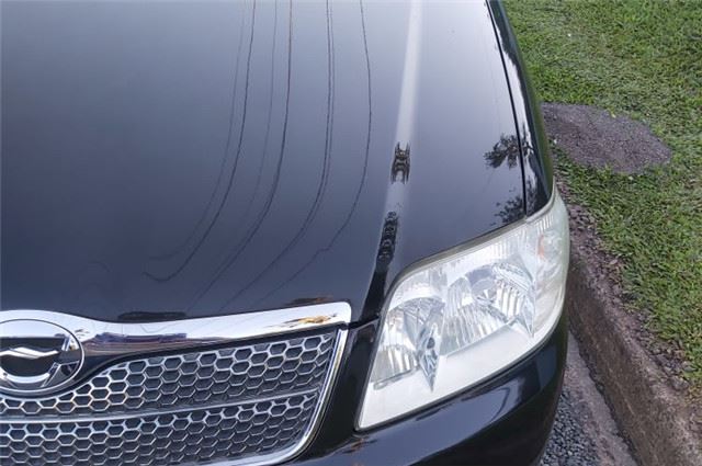 Buffing And Ceramic Coating